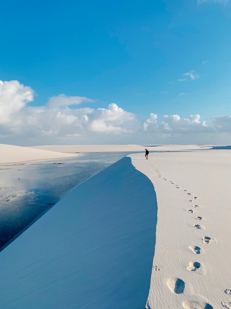 Desert Treks
