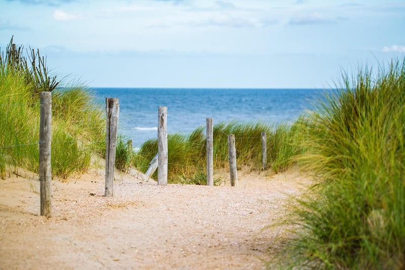 Beach Camping Image